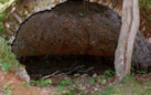 Coke Ovens Information